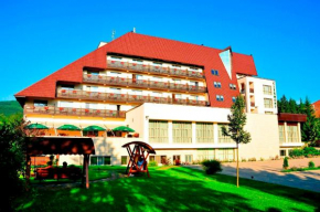 Гостиница Hotel Clermont  Ковасна